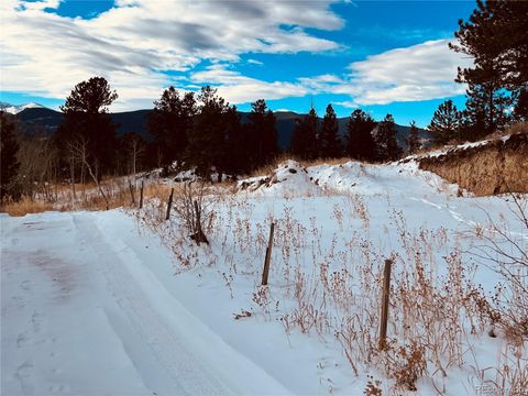 Unimproved Land in Idaho Springs CO 112 Mule Deer Trail 10.jpg