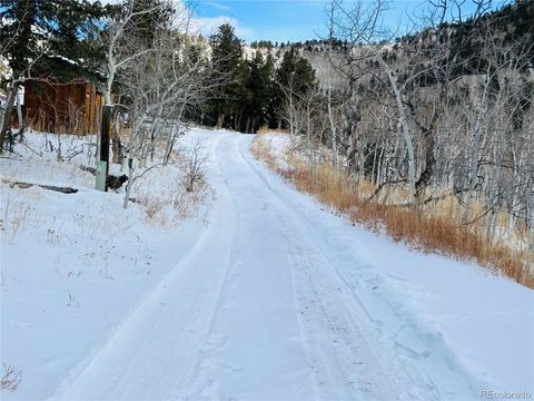 Unimproved Land in Idaho Springs CO 112 Mule Deer Trail 2.jpg