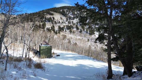 Unimproved Land in Idaho Springs CO 112 Mule Deer Trail 3.jpg