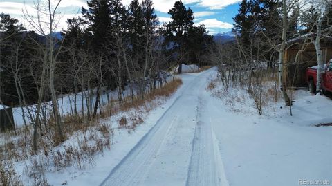 Unimproved Land in Idaho Springs CO 112 Mule Deer Trail 22.jpg