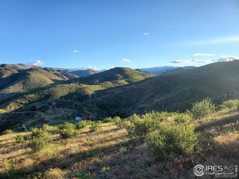 232 Red Mountain Court Livermore CO 80536