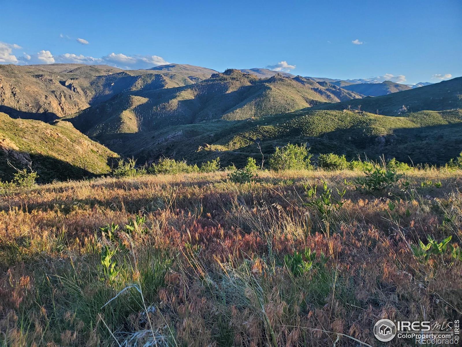 232 Red Mountain Court