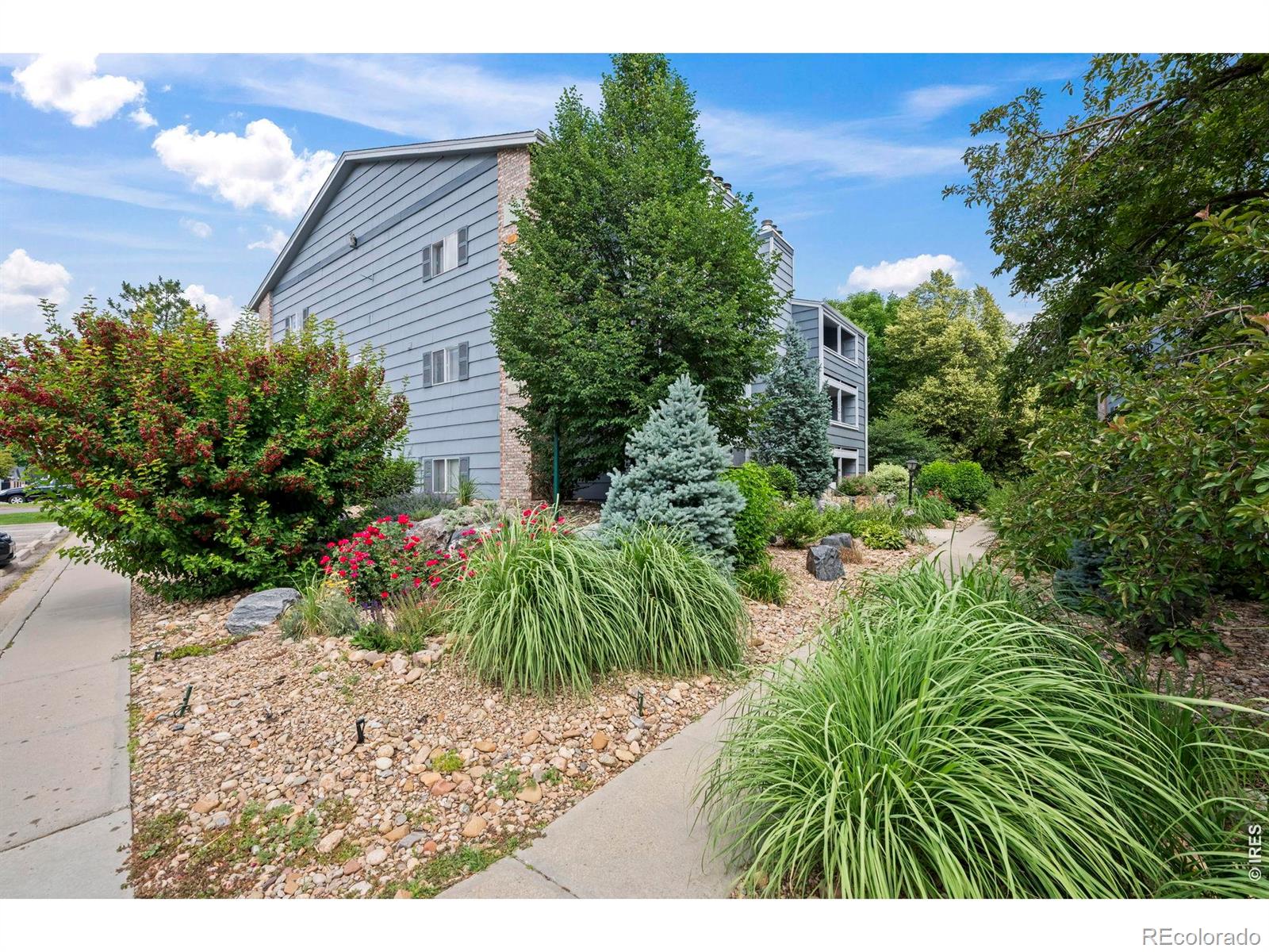 4682 White Rock Circle 9