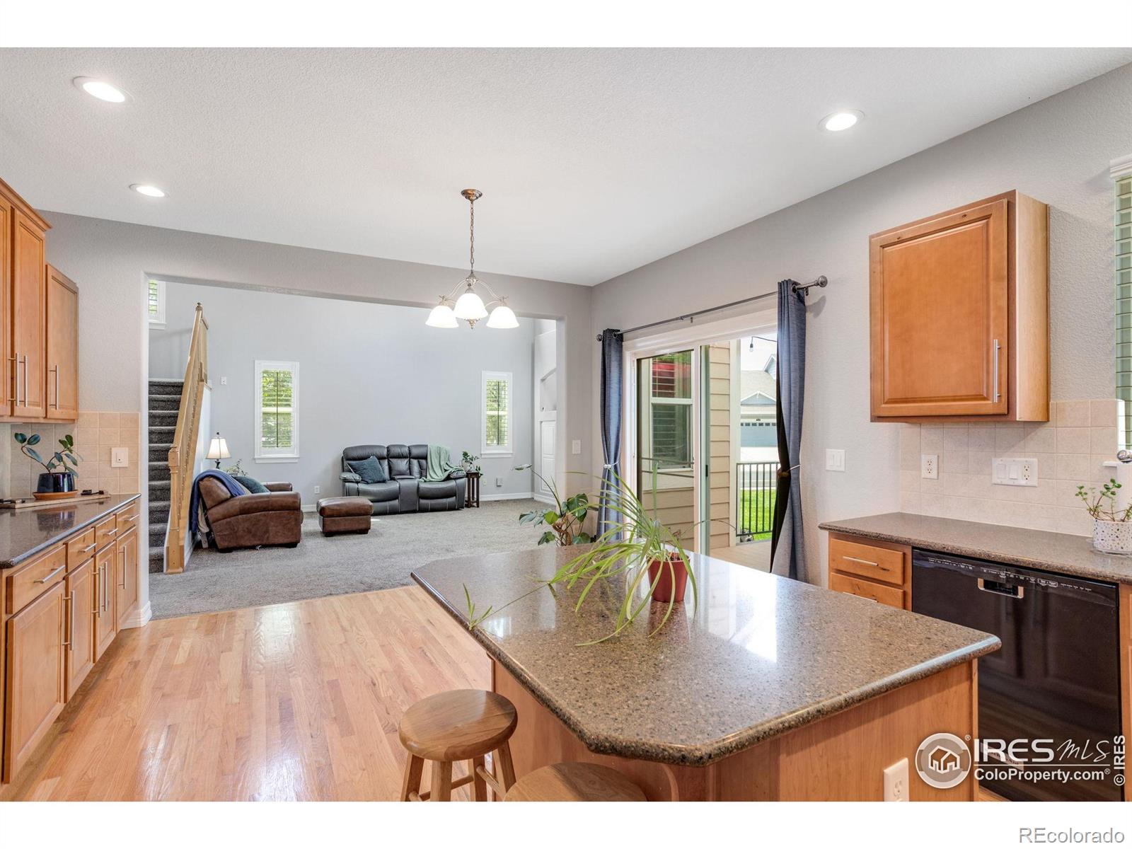 3007 Sedgwick Court