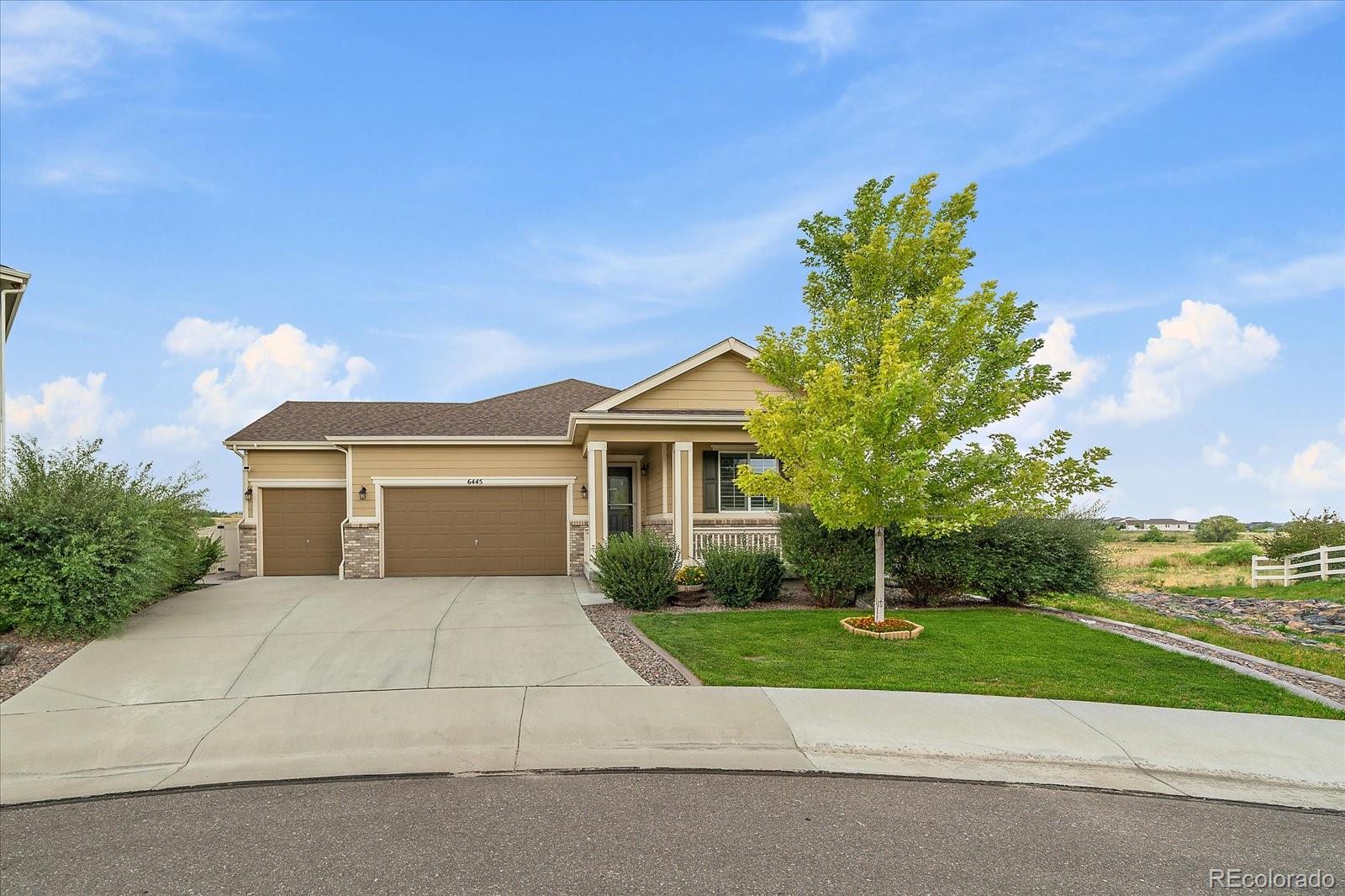 6445 Coldwater Drive