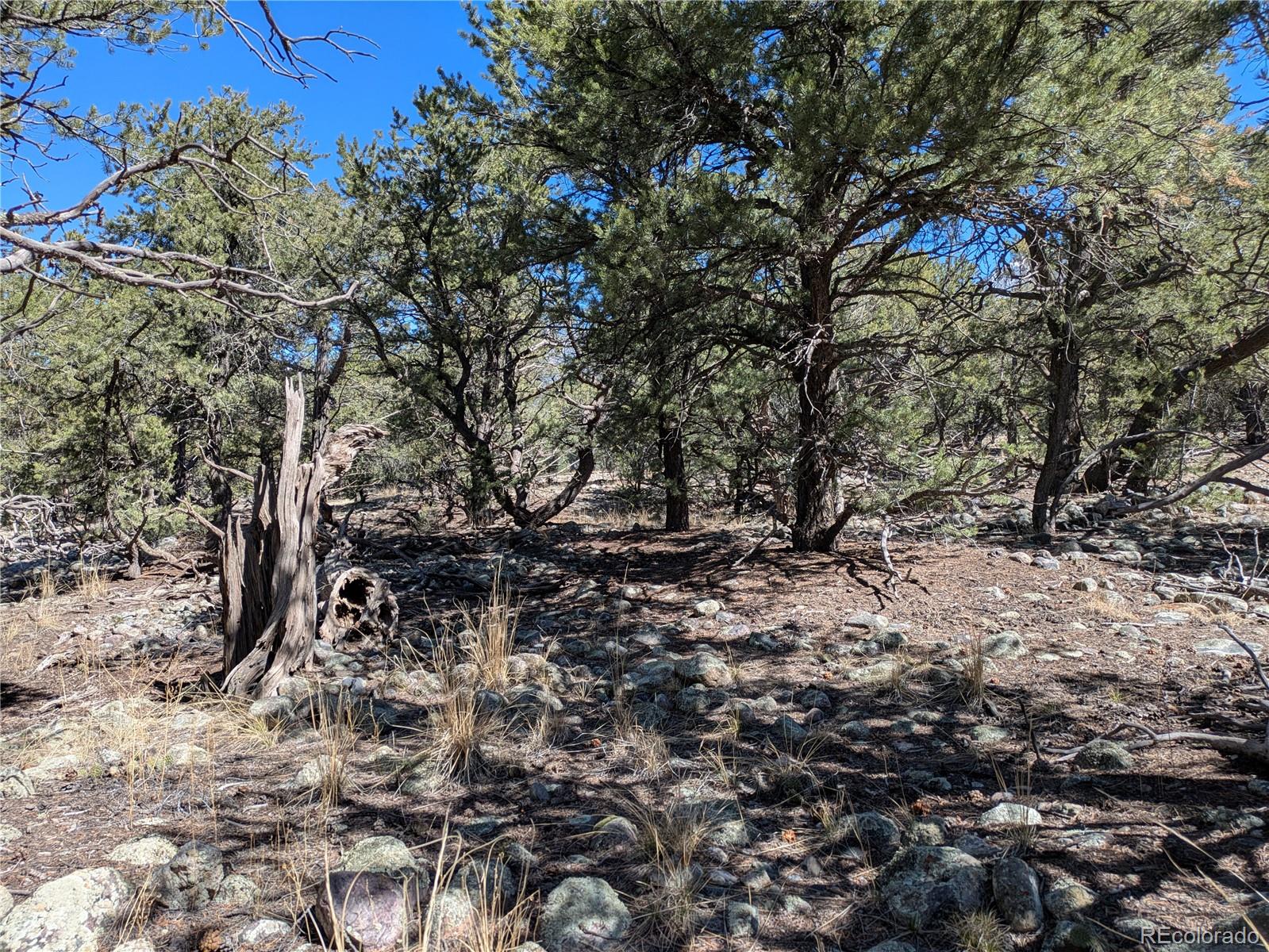 2202 Spanish Creek Road
