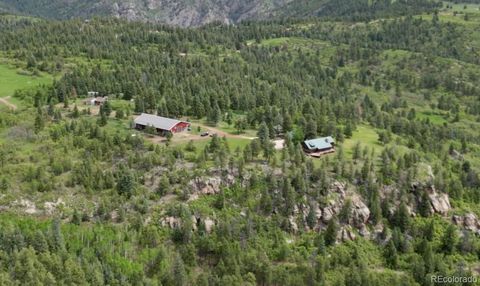 8834 Deiffendeffer Road Rye CO 81069