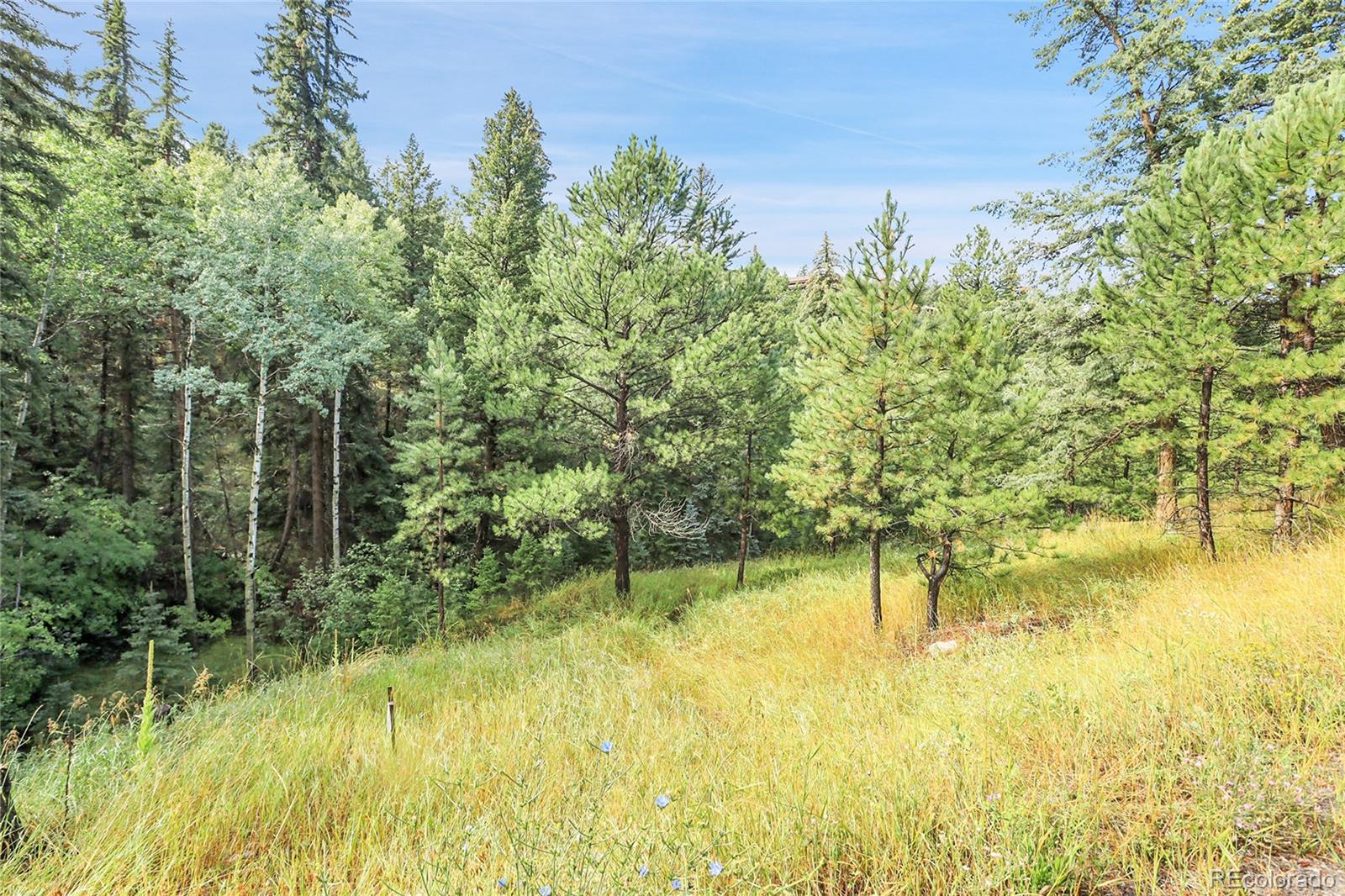 TBD Mountain Park Road