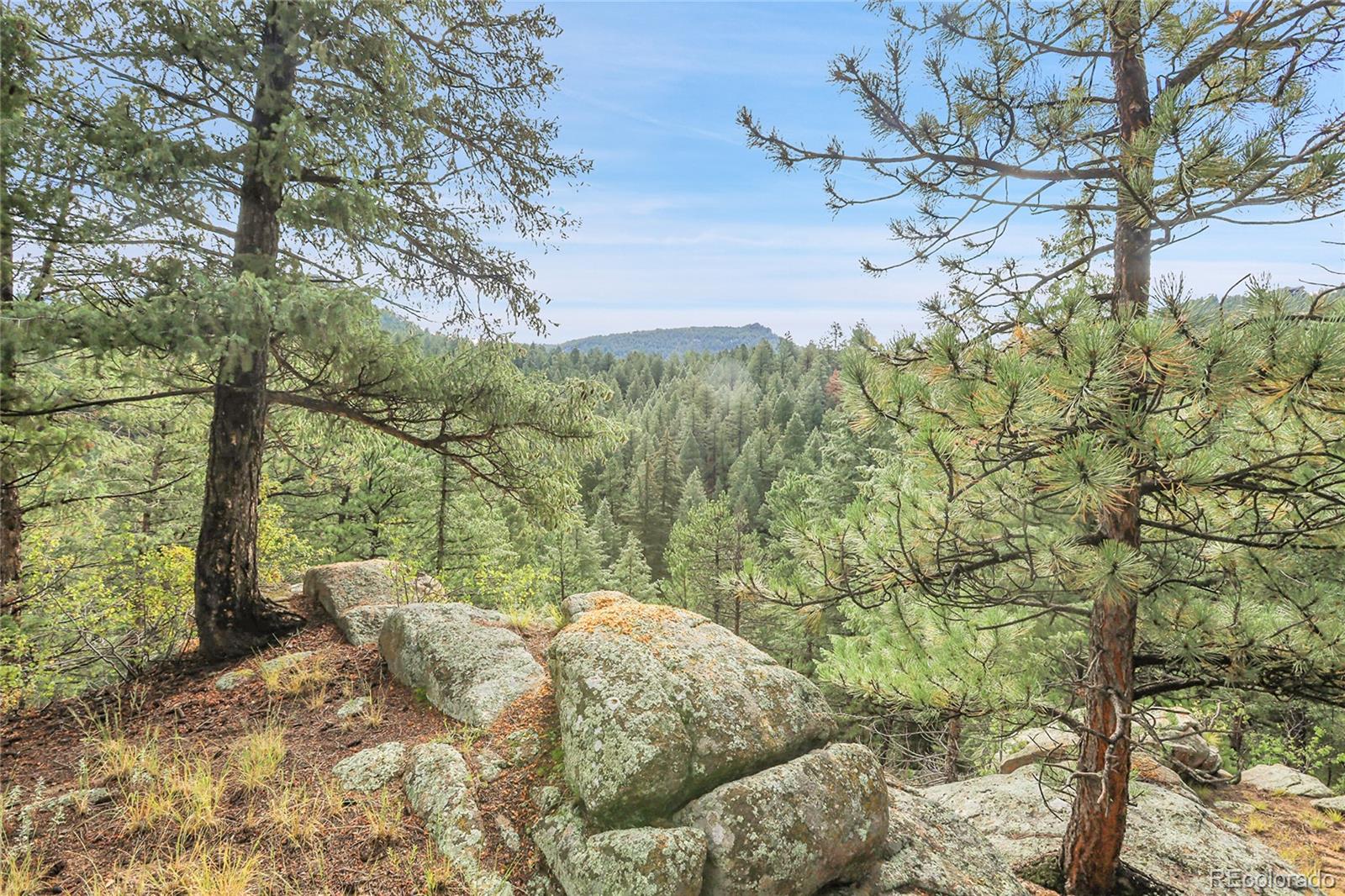 TBD Mountain Park Road