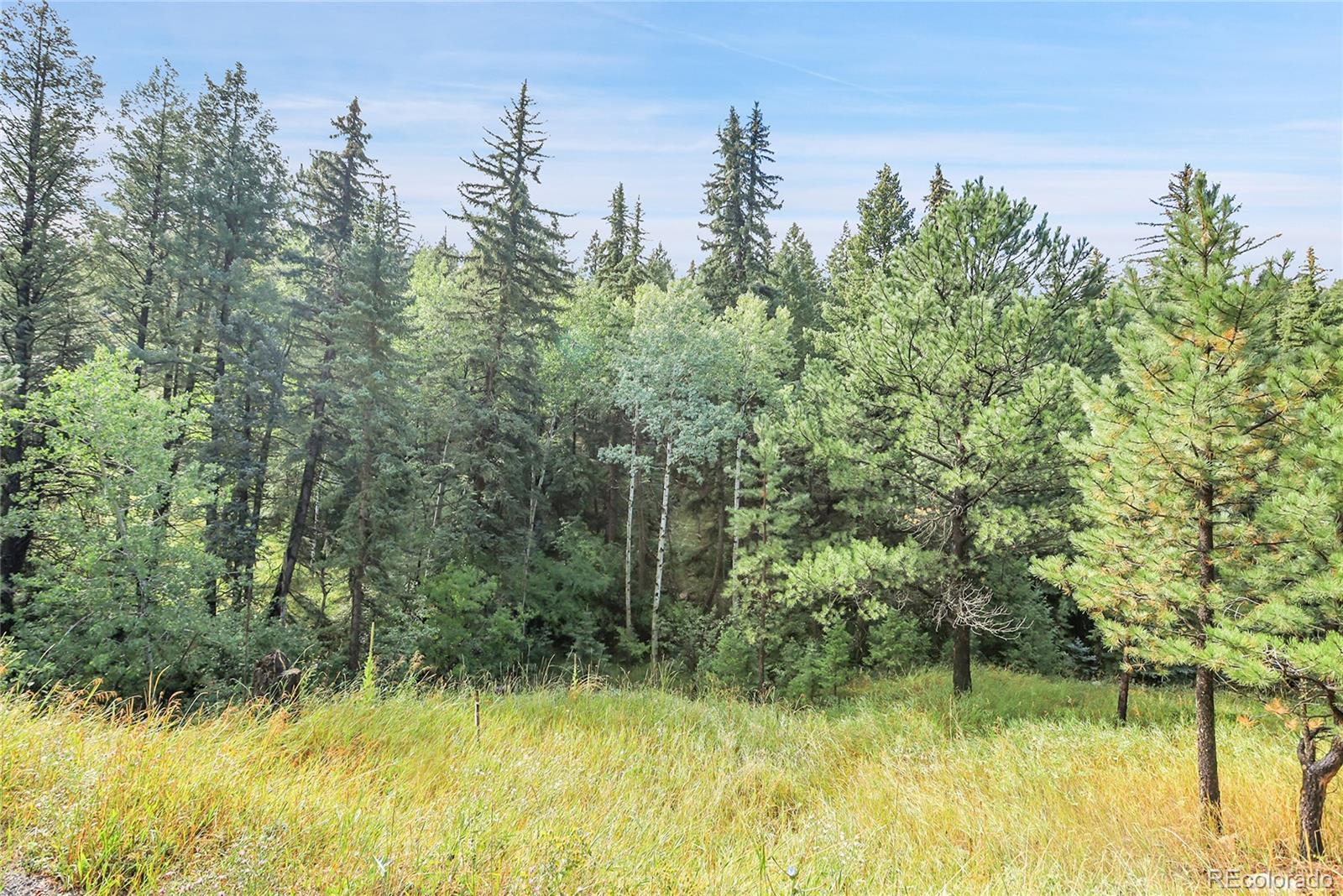 TBD Mountain Park Road