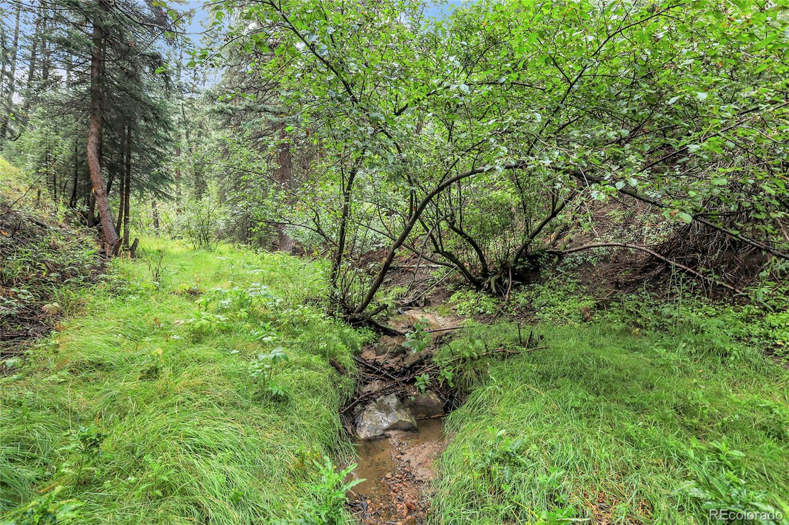 TBD Mountain Park Road