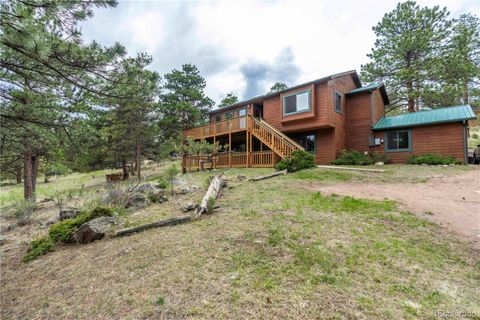 917 Bluebird Lane Bailey CO 80421