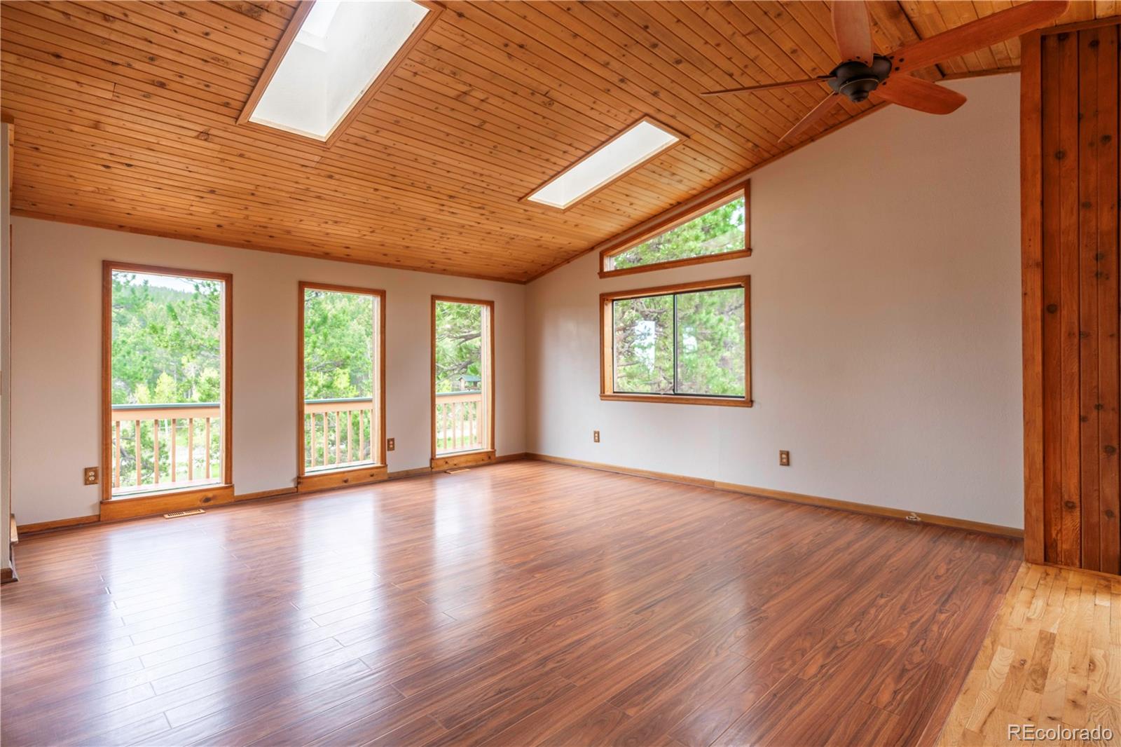 917 Bluebird Lane