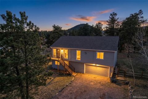 119 Quakie Way Bailey CO 80421