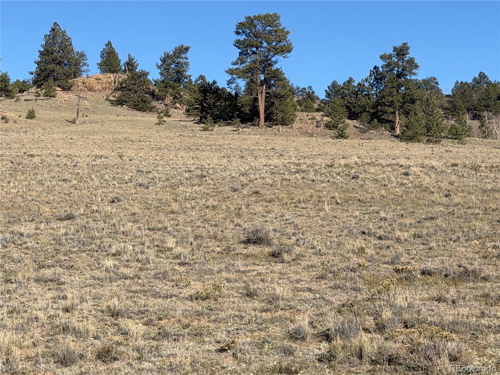 Lot 2220 Caddo Road