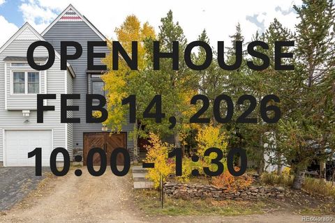 815 Vendome Avenue 7 Leadville CO 80461