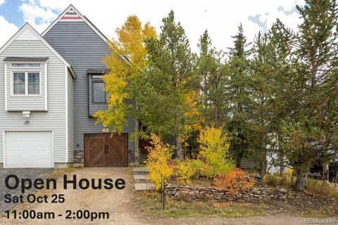 815 Vendome Avenue 7 Leadville CO 80461
