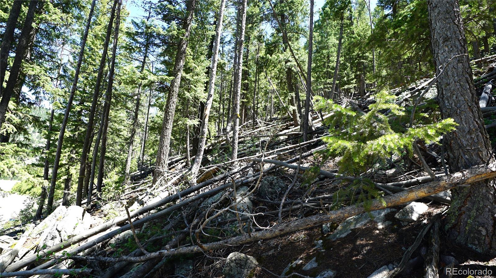 000 Saddleback Drive