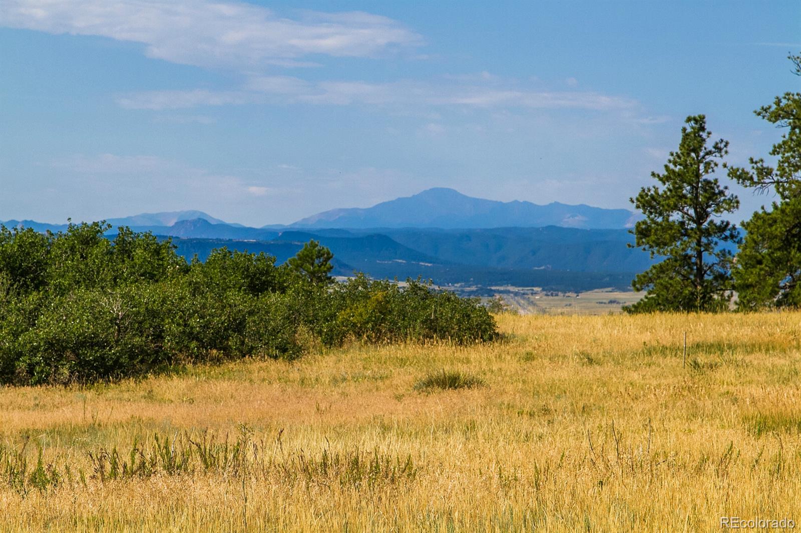 Photo 1 of 1 — 1454 White Fir Terrace, Castle Rock, CO 80108