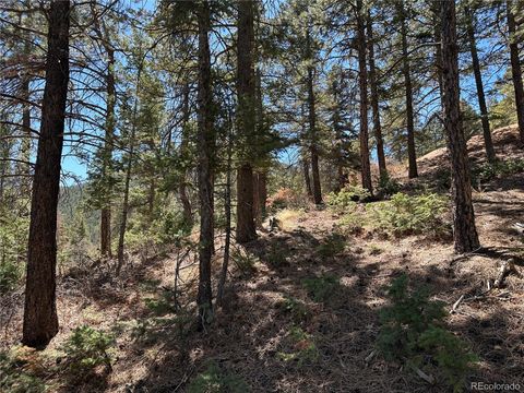 Unimproved Land in Manitou Springs CO 186 High Ridge View 7.jpg