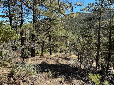 Unimproved Land in Manitou Springs CO 186 High Ridge View 8.jpg