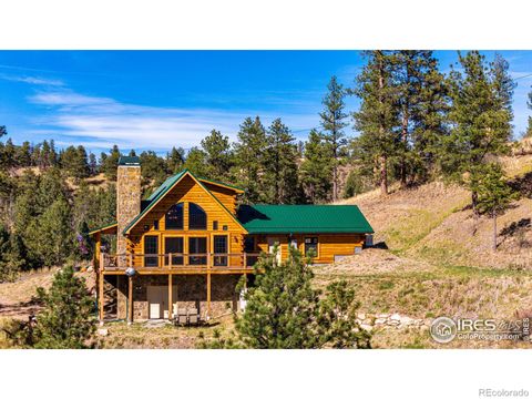 31266 Half Peak Trail, Pine, CO 80470 - MLS#: IR999122