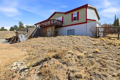 4441 Goldenburg Canyon Road Hartsel CO 80449