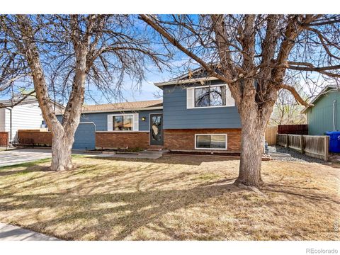 228 Blossom Drive Loveland CO 80537