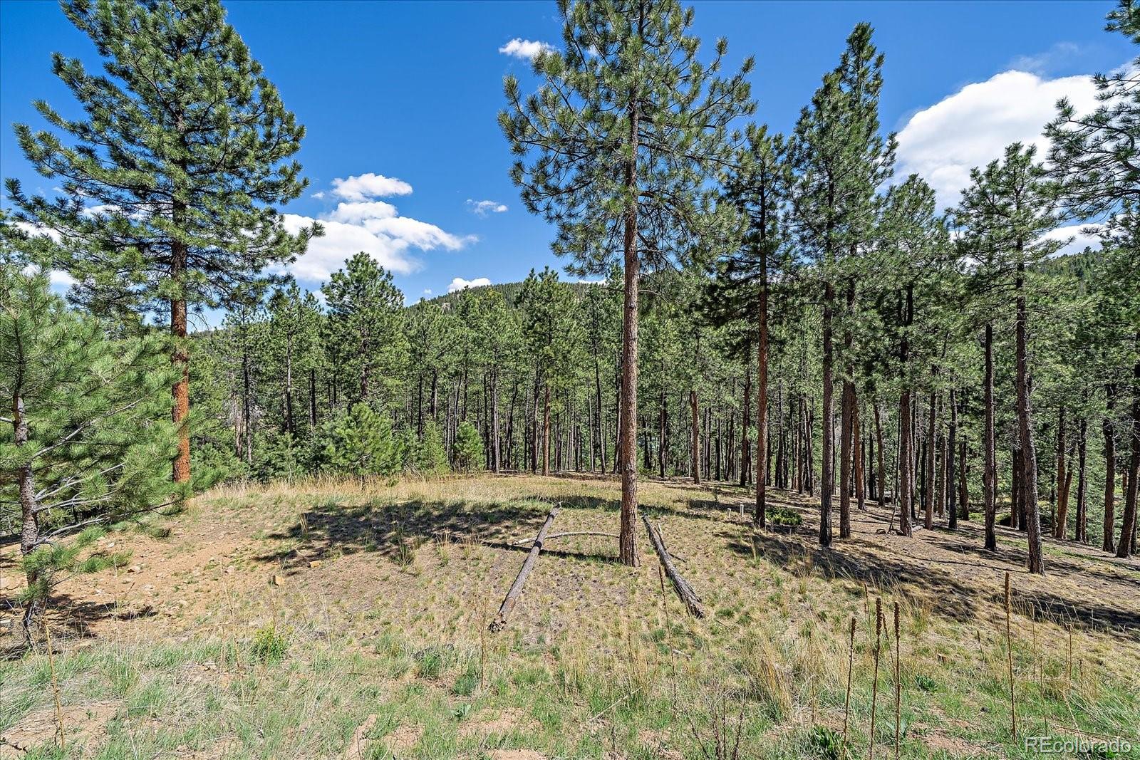 32160 Aspen Meadow Drive