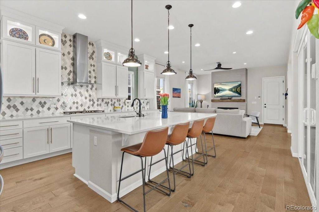 Photo of 1045 Brocade Drive, Highlands Ranch, CO 80126 (MLS # 6376259)