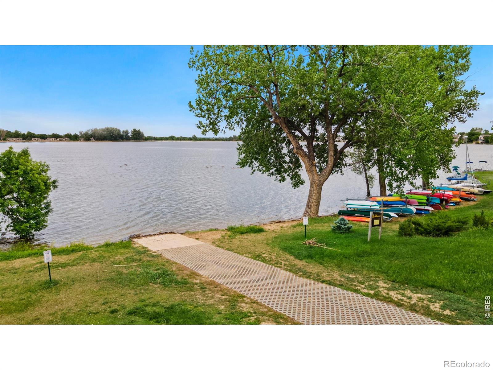524 Spring Canyon Court