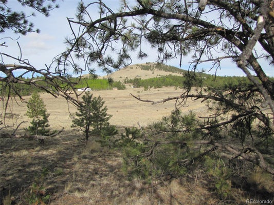 487 & 575 FALCON ROAD, HARTSEL, CO 80449 - Image 5a3d2059f2c7aa9c1fc4f44a596466fe/1850974972
