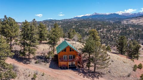 521 Andes Road, Cripple Creek, CO 80813 - #: 8205070
