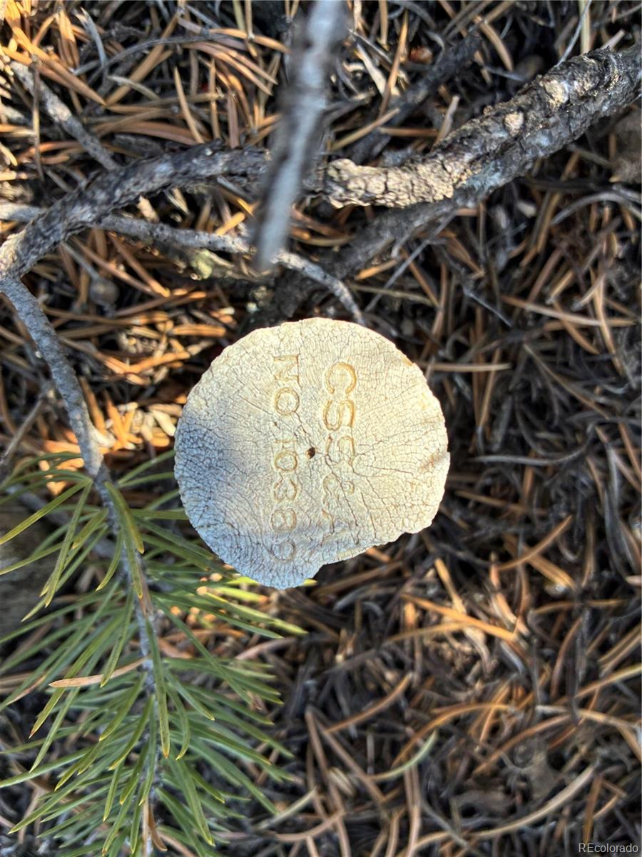 Lot 1057 Hotchkiss Road