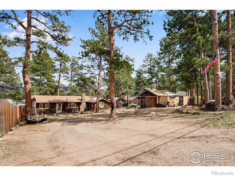 820 Bailey Lane, Estes Park, CO 80517 - #: IR1010631