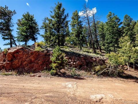 439 Andes Road, Cripple Creek, CO 80813 - #: 3423185