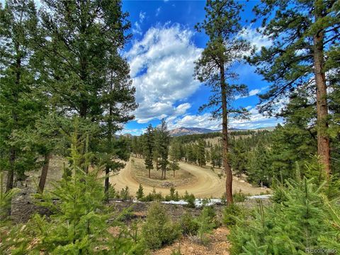 890 Lions Head Ranch Road, Pine, CO 80470 - #: 6048847