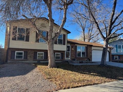 Photo of Thornton, CO 80233 (MLS # 3269041)