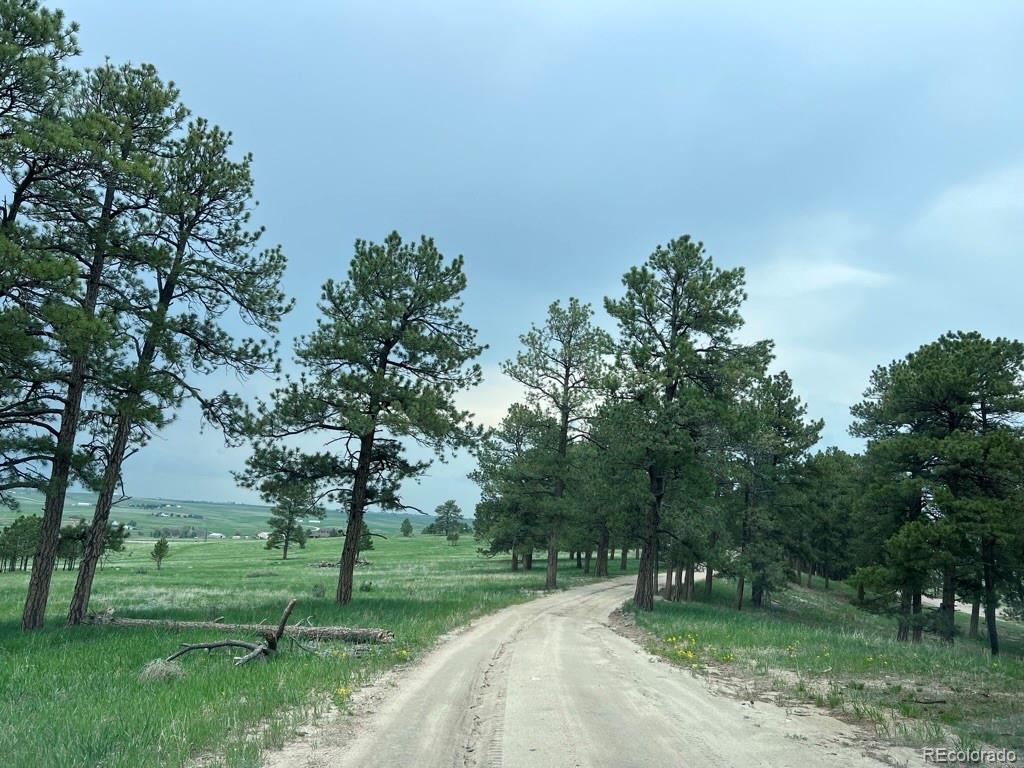 4560 County road 114