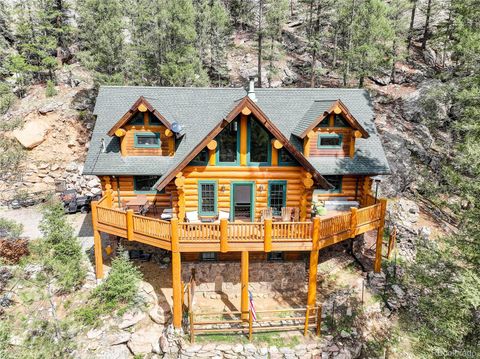14662 S Elk Creek Road Pine CO 80470