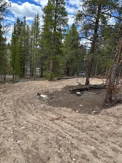 123 Lodgepole Drive Leadville CO 80461
