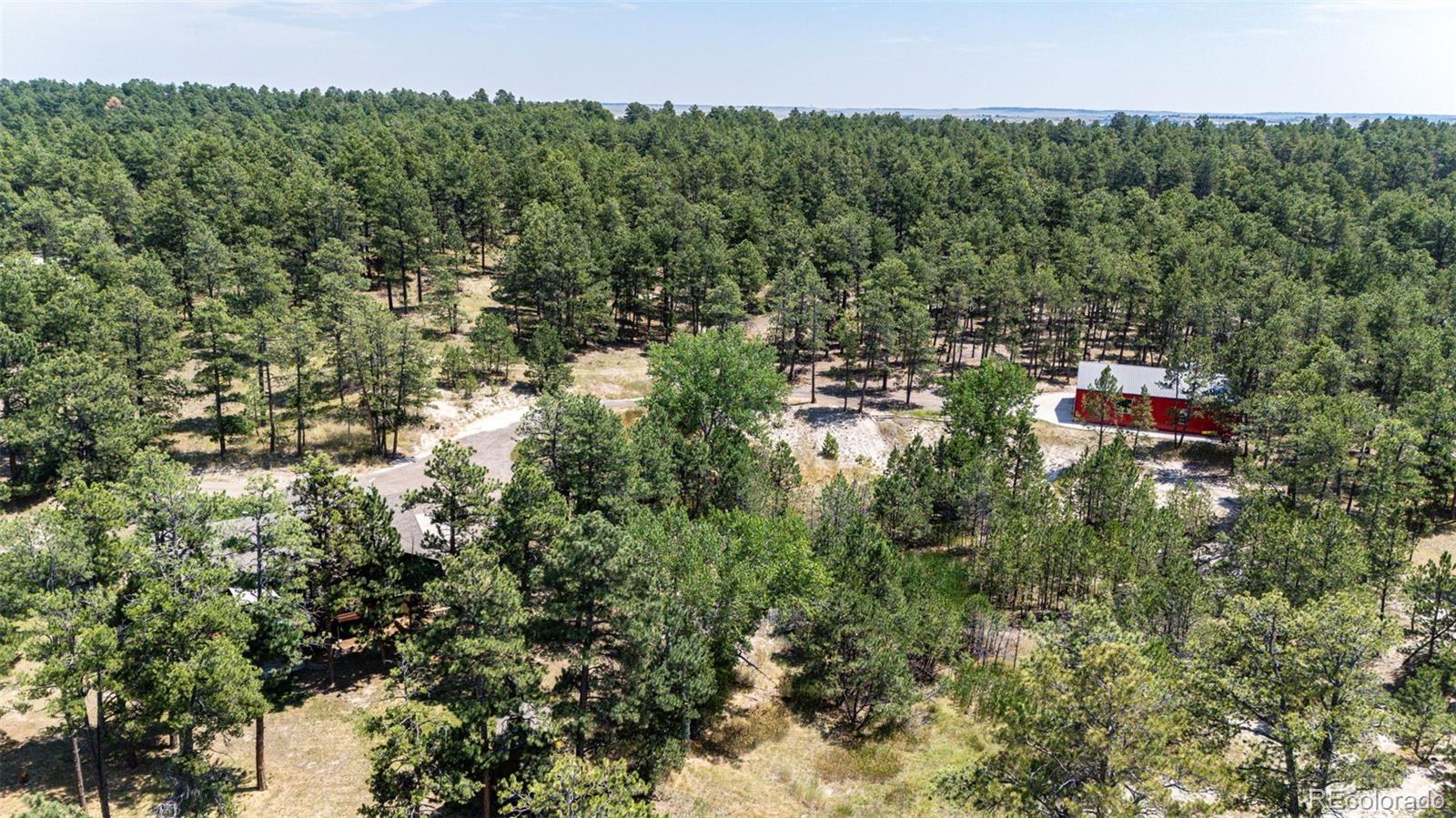 36451 Forest Trail