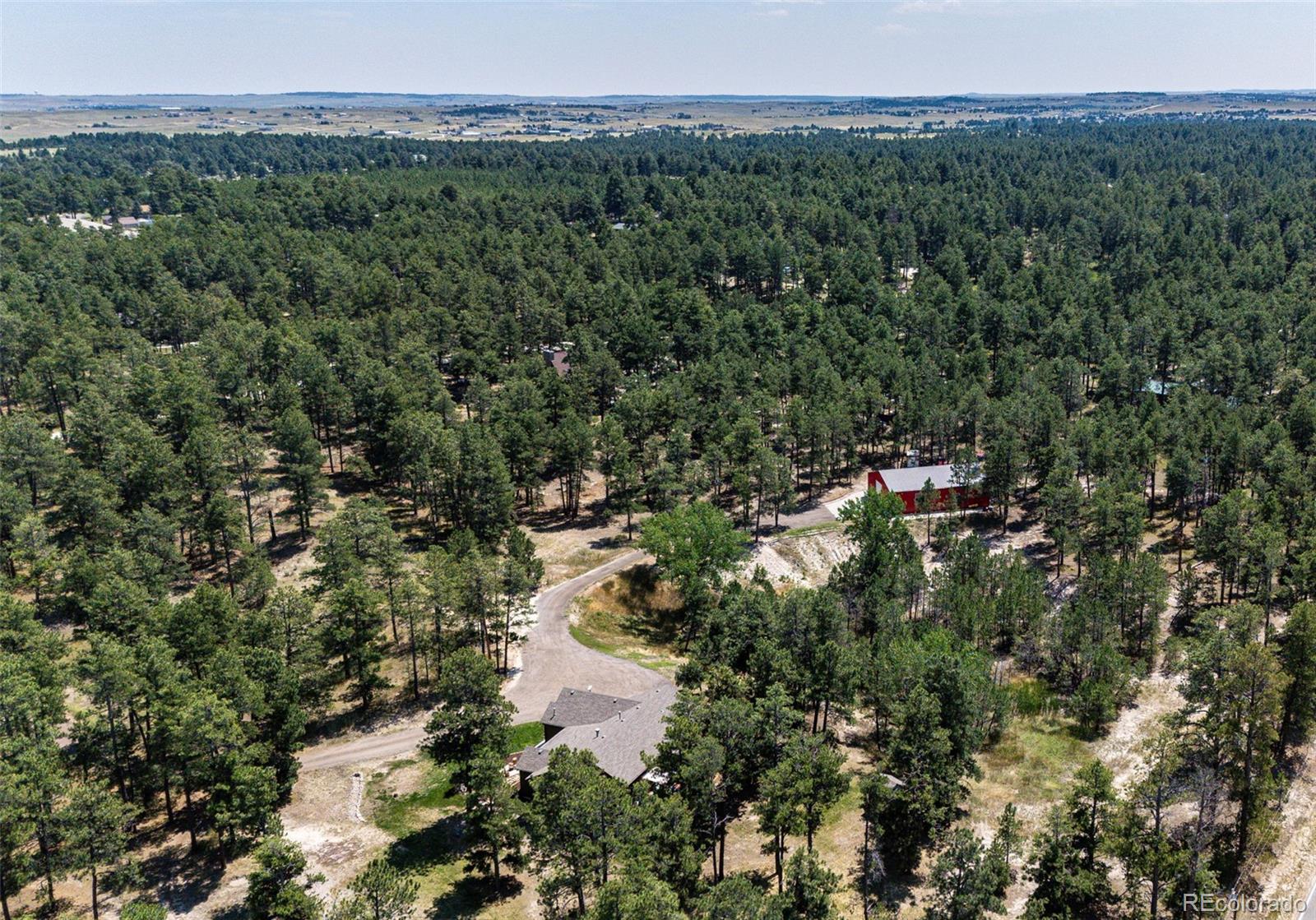 36451 Forest Trail