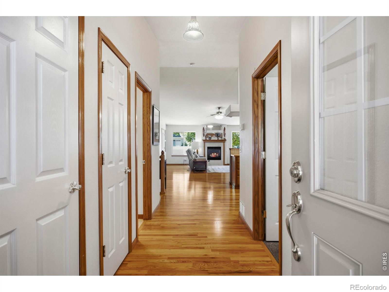 2614 Forsythia Drive