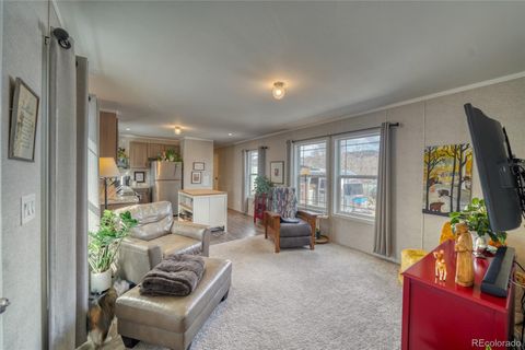 7125 County Road 109 Salida CO 81201