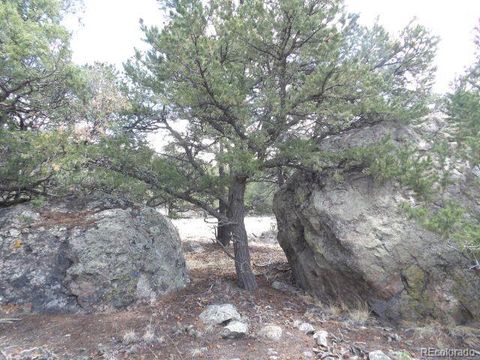 1794 Willow Creek Way Crestone CO 81131