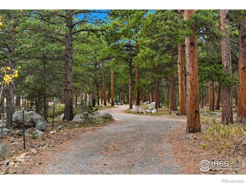 441 County Road 84 W Allenspark CO 80510