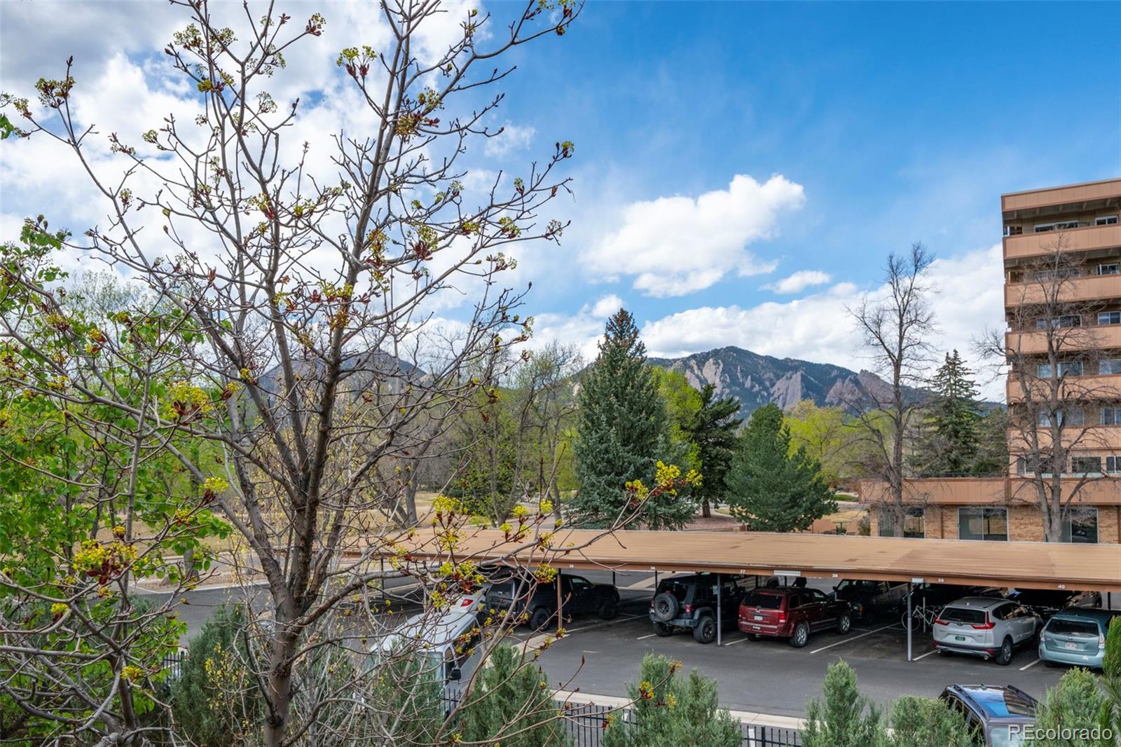 540 Mohawk Drive 15
