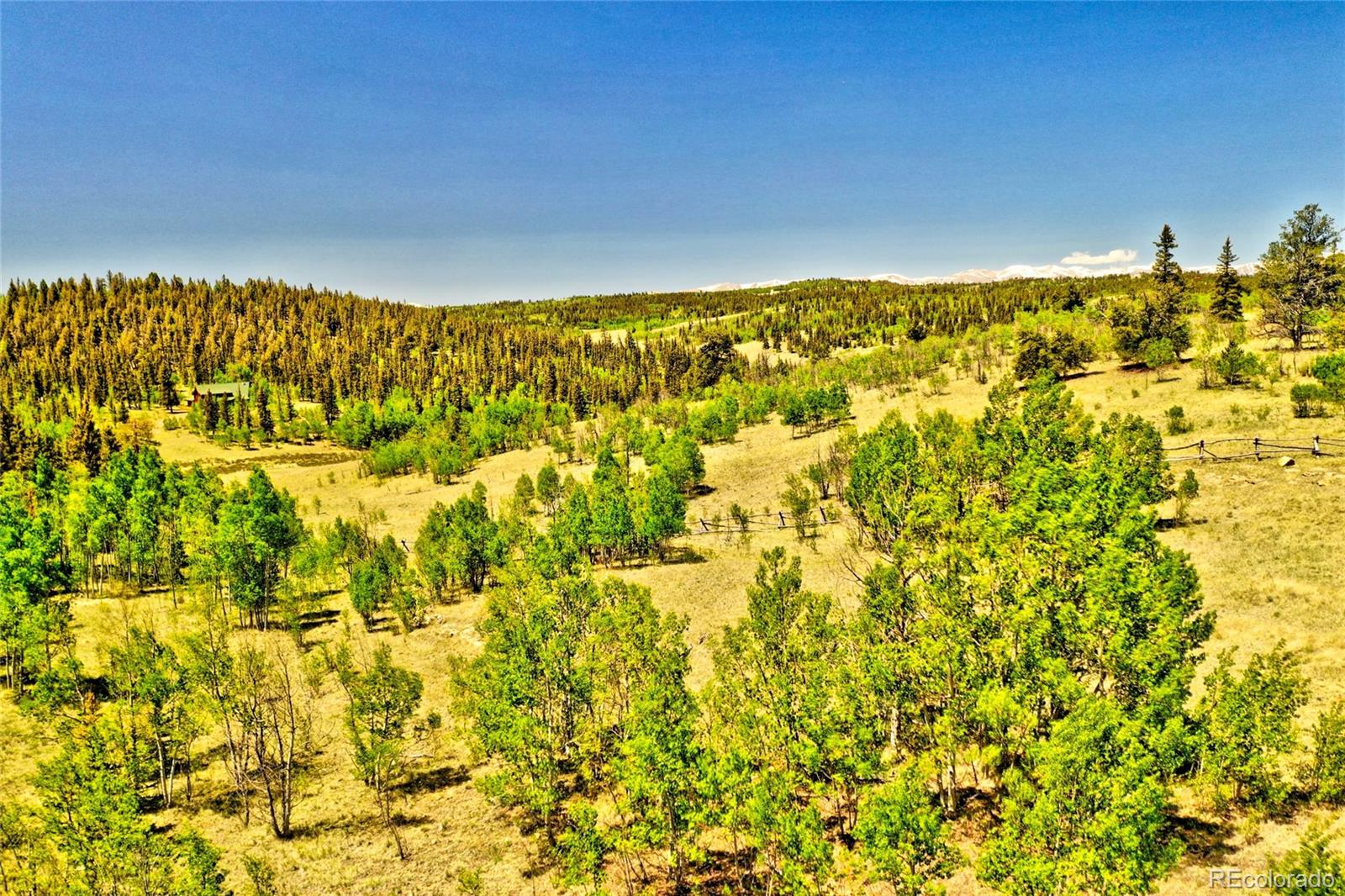 445 Warpath Road