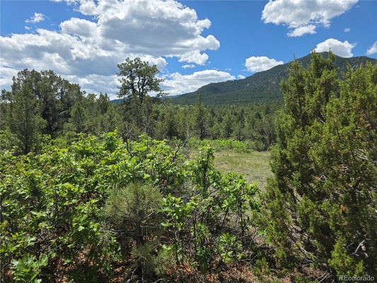 COUNTY RD 15, FLORENCE, CO 81226 - Image 5cea774737fd26dd0b9a27cd3de49cbd/3410694794